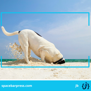 Get Rid of The Filler From Your Tech Content